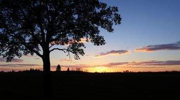 Мерабовой присвоено звание заслуженной артистки России по указу Путина